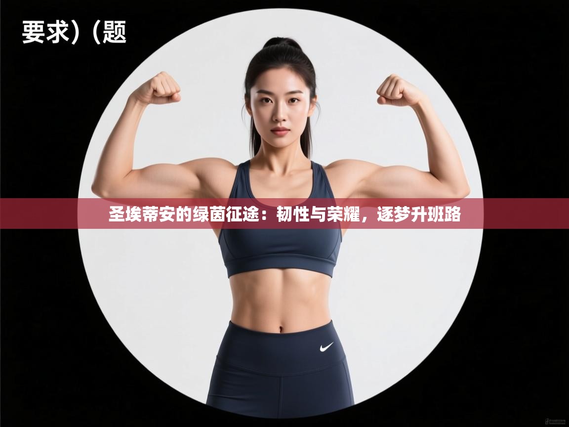 圣埃蒂安的绿茵征途:韧性与荣耀,逐梦升班路 第2张