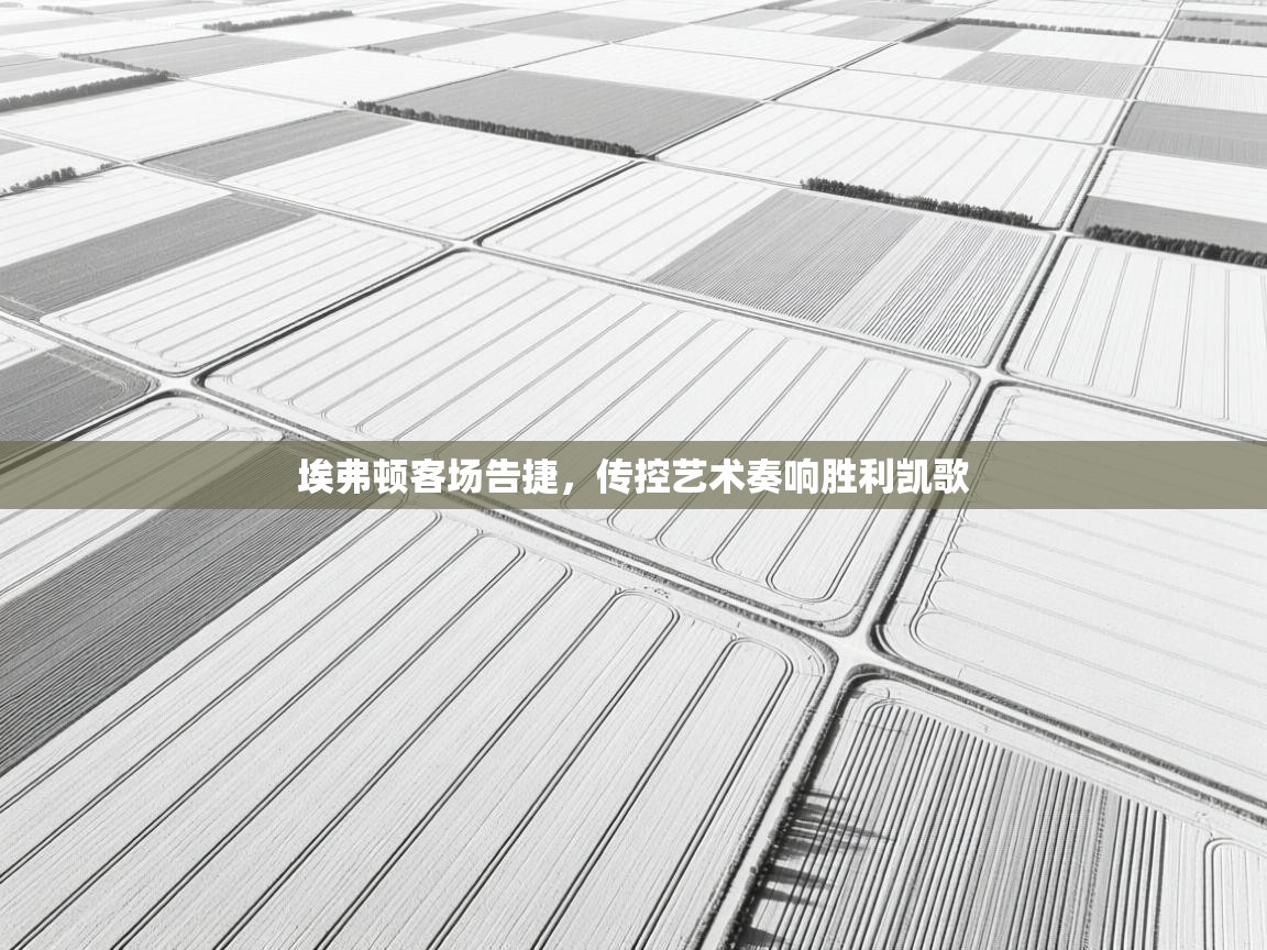 埃弗顿客场告捷,传控艺术奏响胜利凯歌 第2张